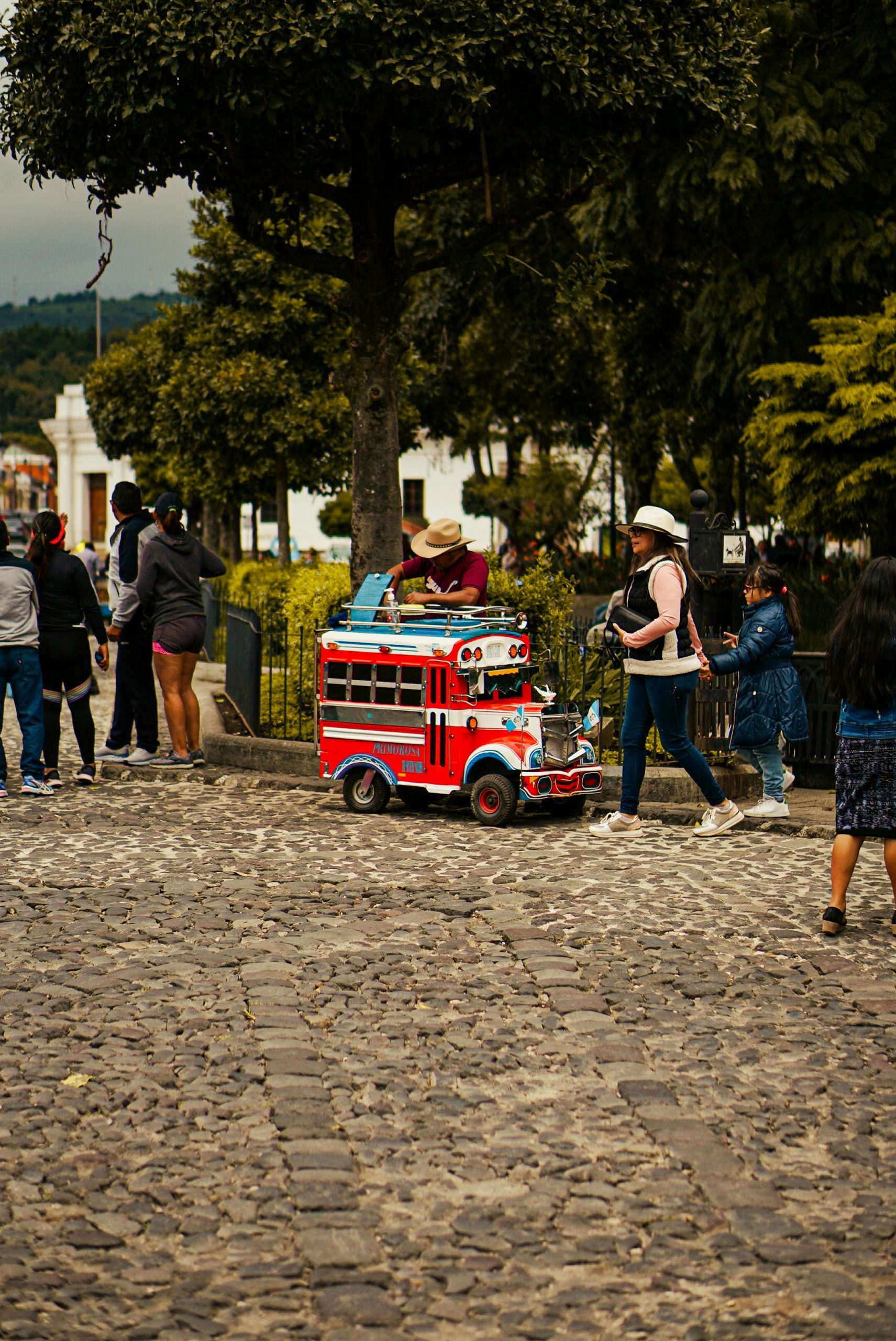 Food Truck ICE CREAM MINI